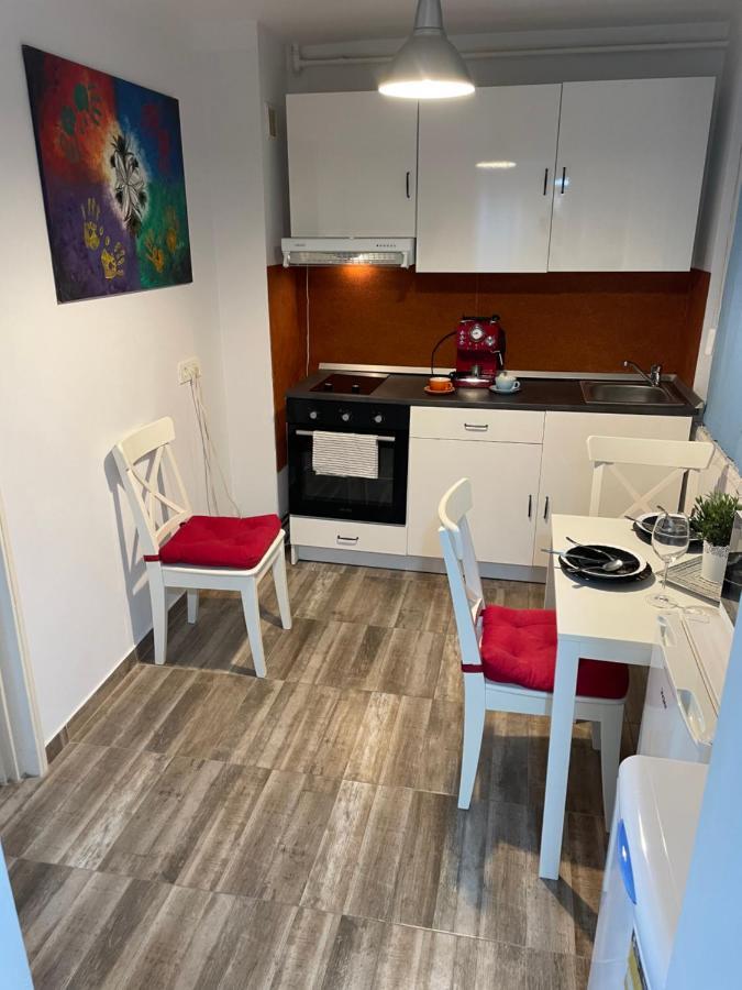 Kreation Rainbow Lejlighed Cluj-Napoca Eksteriør billede